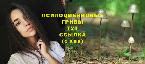 трава Абаза