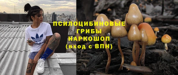 ешки Абинск